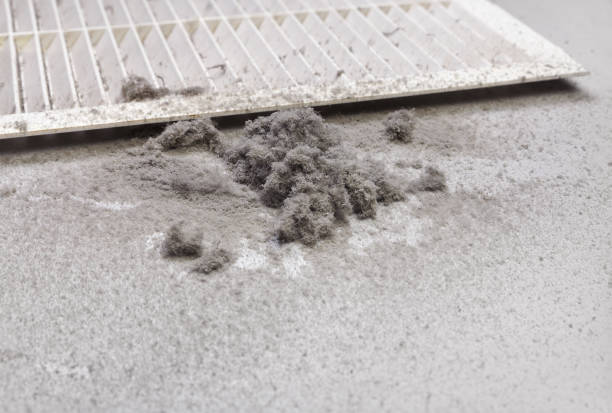 Best Affordable Duct Cleaning Services  in Coupeville, WA
