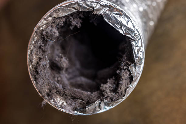 Best HVAC System Cleaning  in Coupeville, WA